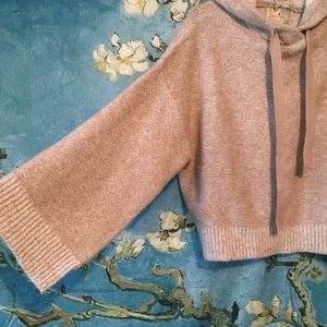 cropped hooded sweater